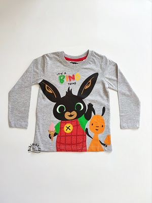 Chlapecké tričko BING šedé DR