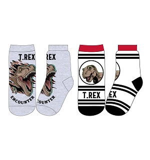 Chlapecké ponožky JURSKÝ PARK 2 ks