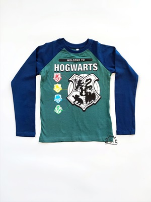 Chlapecké tričko HARRY POTTER zelené DR