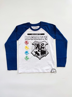 Chlapecké tričko HARRY POTTER bílo/modré DR