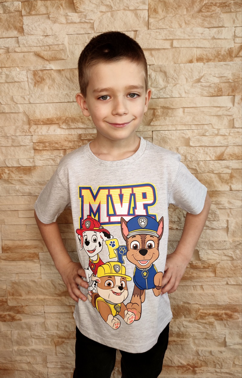 Chlapecké tričko TLAPKOVÁ PATROLA šedé KR