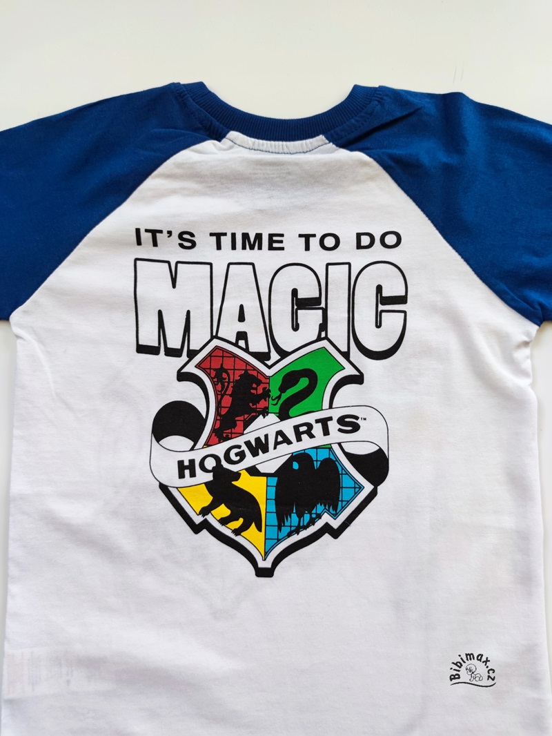 Chlapecké tričko HARRY POTTER bílo/modré DR