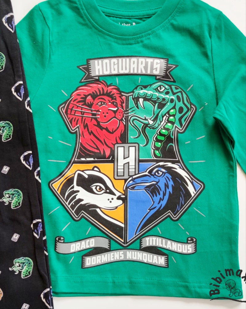Chlapecké pyžamo HARRY POTTER zelené