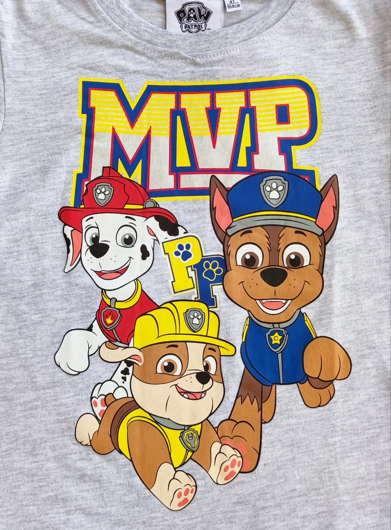 Chlapecké tričko TLAPKOVÁ PATROLA šedé KR