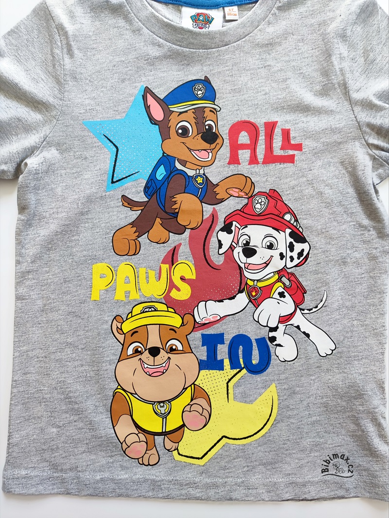 Chlapecké tričko TLAPKOVÁ PATROLA šedé DR