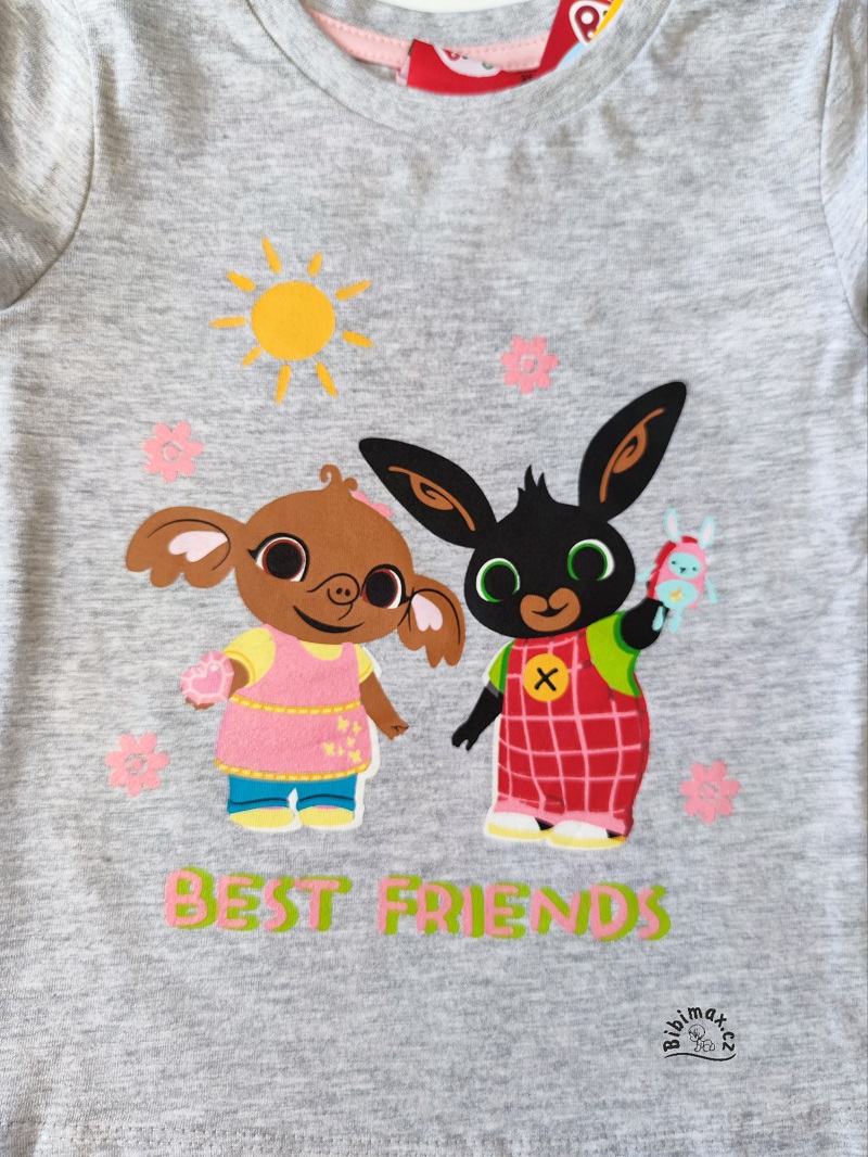 Dívčí tričko BING šedé DR