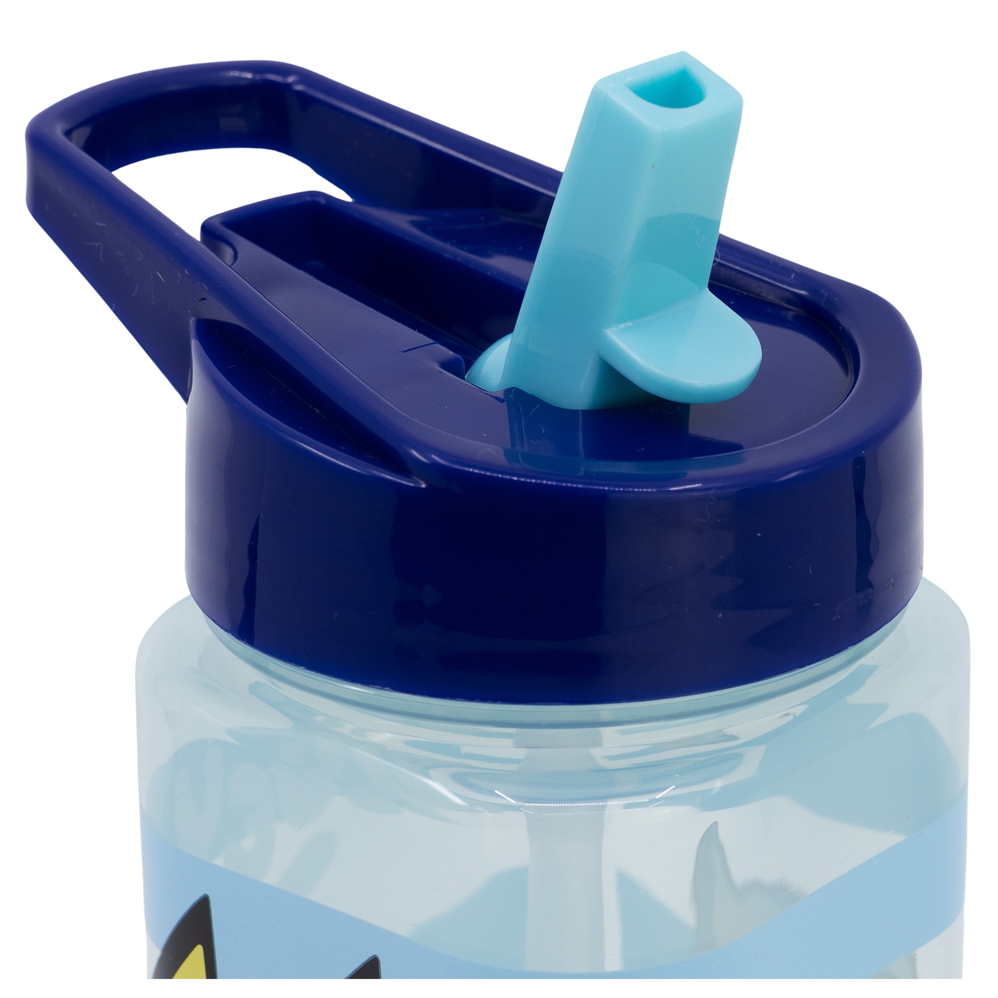 Plastová láhev na pití BLUEY 510 ml