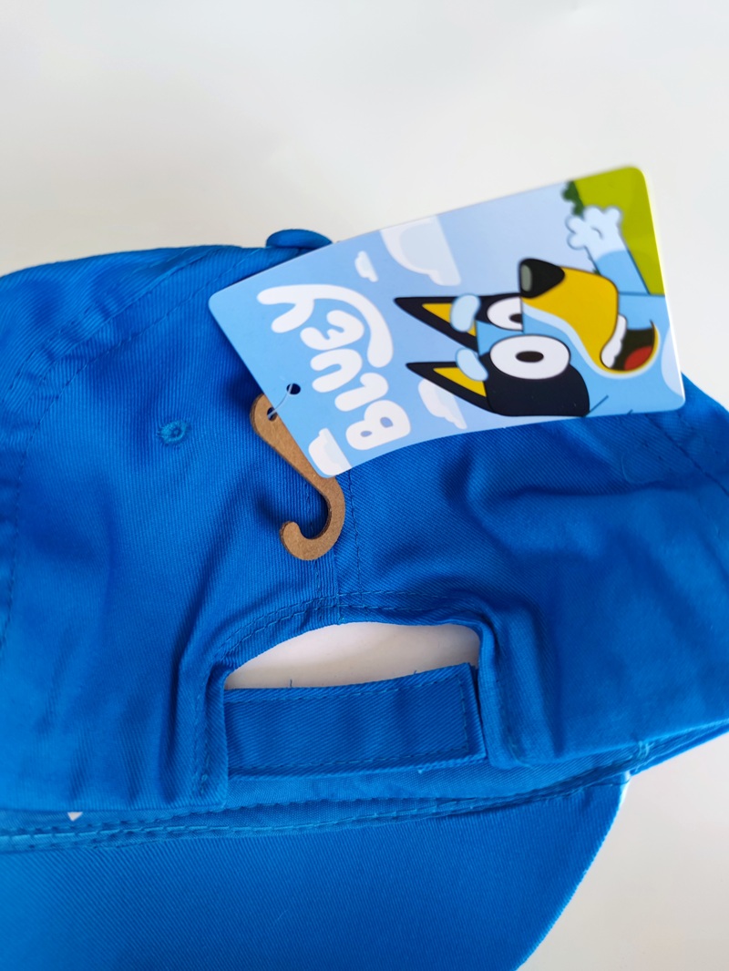 Chlapecká kšiltovka BLUEY modrá