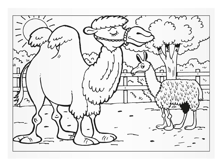 Omalovánky MFP NÁVŠTĚVA ZOO