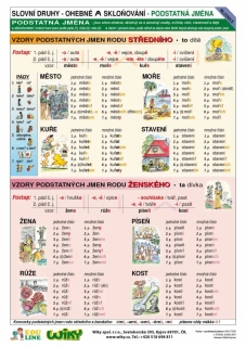 Vzory podstatných jmen - edu list - A4