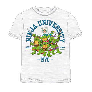 Chlapecké tričko ŽELVY NINJA šedé KR